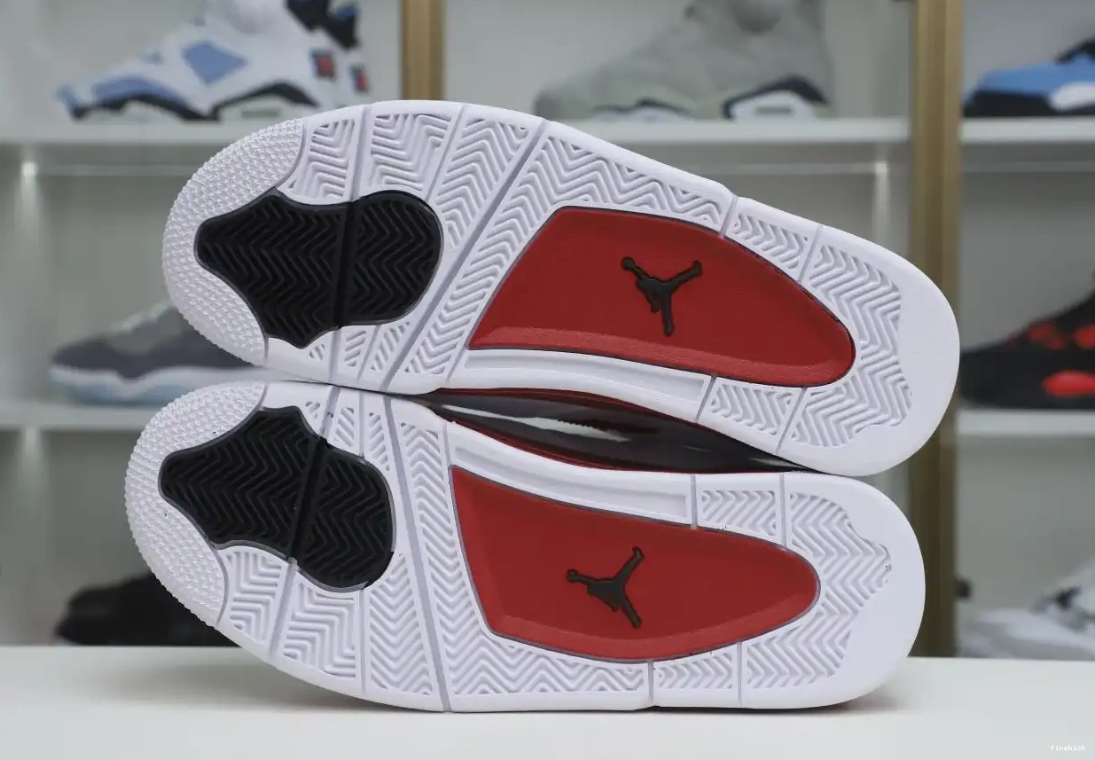 AIR ALTERNATE RETRO 89 JORDAN4 0529